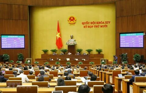 Quần dáng cong đang gây sốt với thiết kế độc đáo và tính ứng dụng cao, giúp tạo hiệu_Chiến lược tiếp thị kỹ thuật số