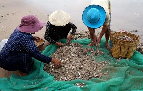 Làm Video Ngắn – Vừa Sáng Tạo, Vừa Kiếm Tiền Với Công Cụ Hữu Ích_đoạn ngắn hướng dẫn video